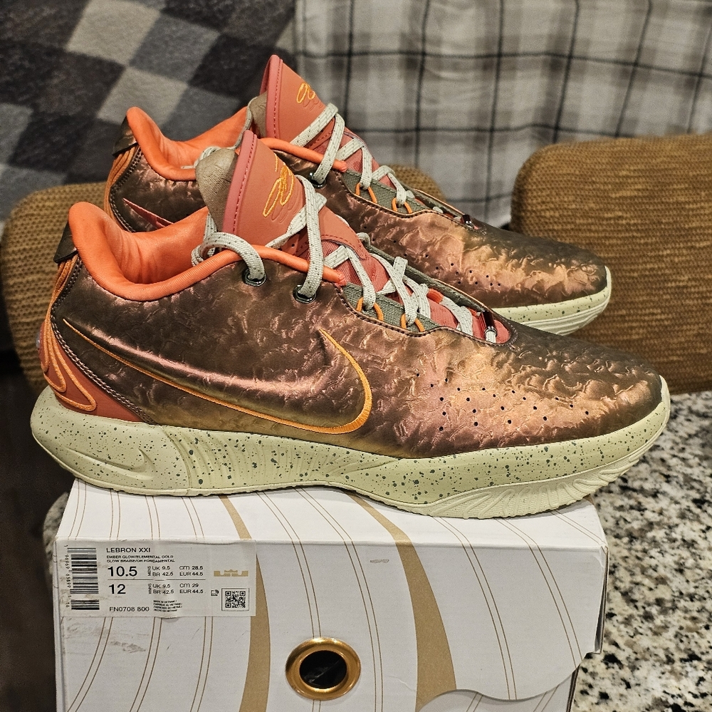 Nike LeBron XXI Queen Court Ds Men Size 10.5